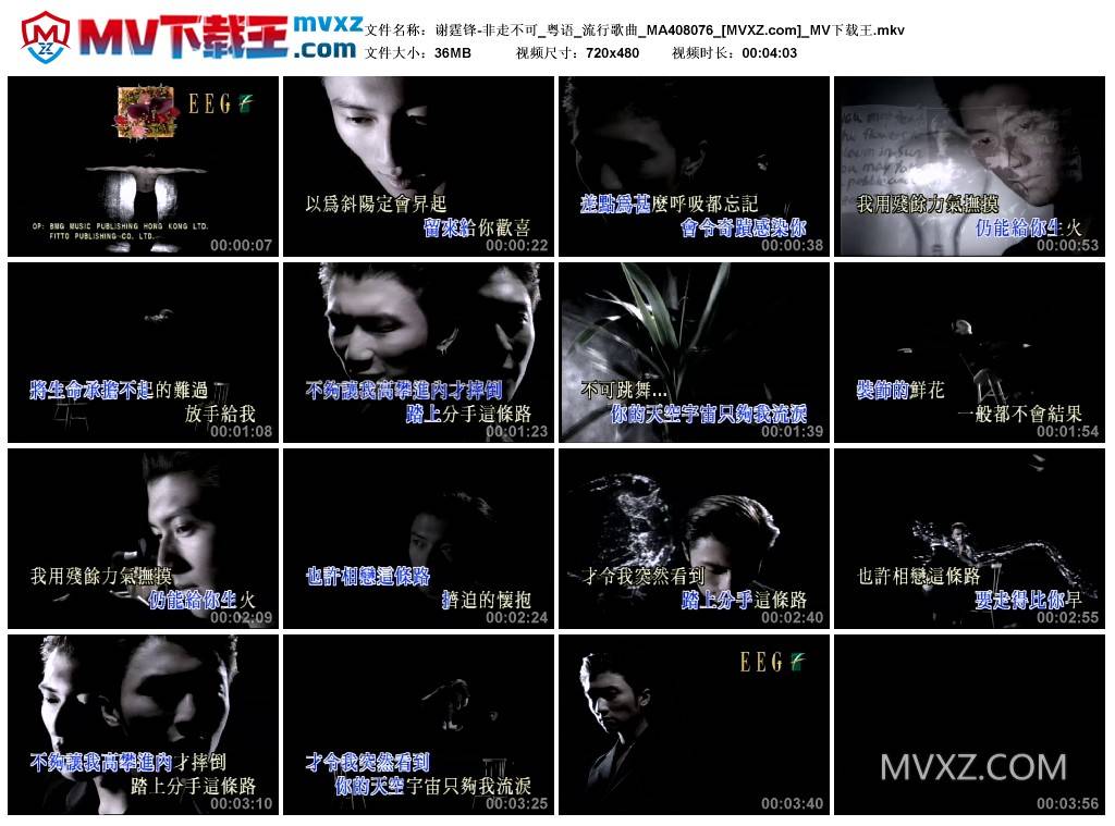 谢霆锋-非走不可_粤语_流行歌曲_MA408076
